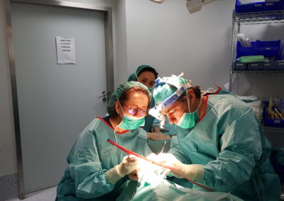 cirugia-ocular-doctora-carretero-marbella